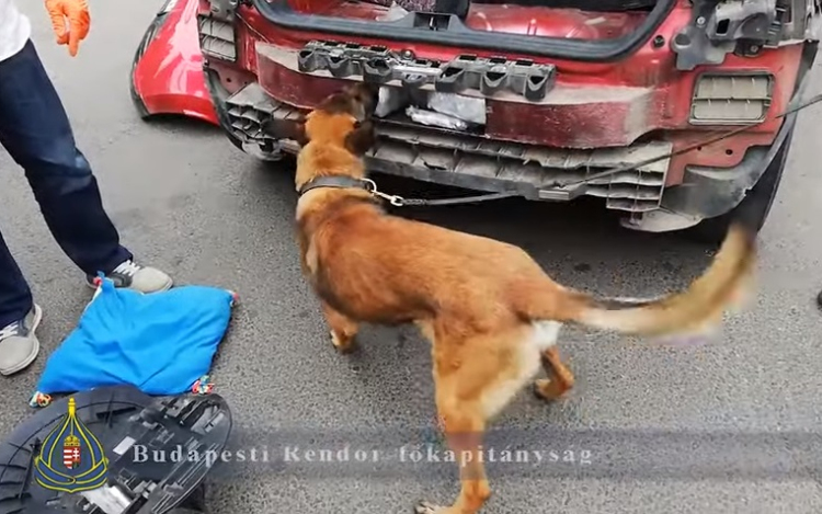 Közel 40 millió forintnyi drogot szagolt ki a rendőrkutya - VIDEÓ