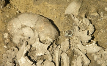 Egy nomád harcos lovának sírját találták meg Csanádpalota közelében