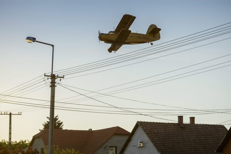 Indul a szúnyoggyérítés a Balatonnál
